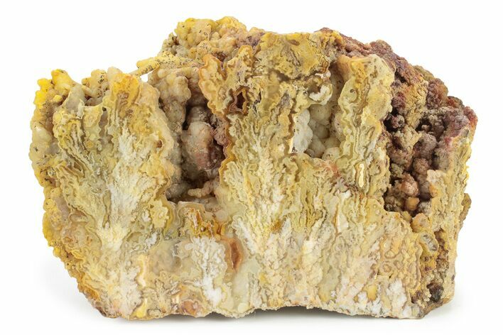 Graveyard Point Plume Agate Section - Oregon #239909